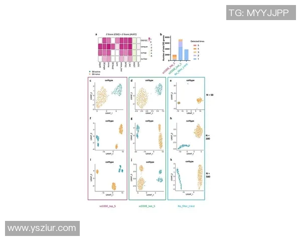 广州排球队团队协作表现的数据分析与提升策略探讨